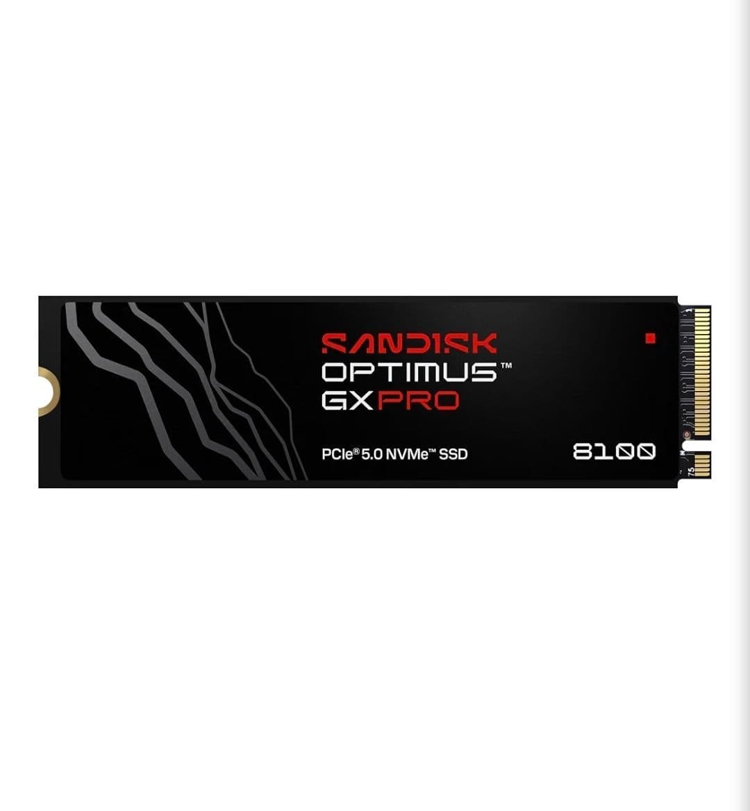 샌디스크 optimus gx pro 8100, 2TB