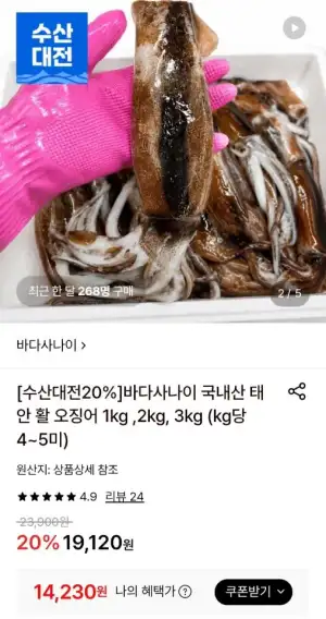 국내산 태안 활 오징어 1kg(kg당 4~5미)