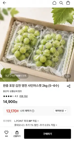 영천 샤인머스켓 2kg (5-6수)