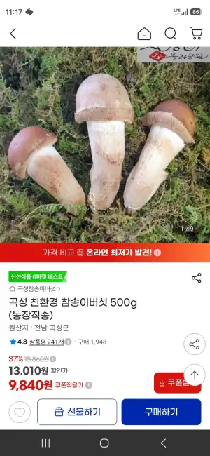 곡성 친환경 참송이버섯 500g