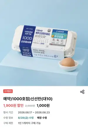 신선란 대란 10구