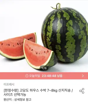 가정용 하우스 수박 7~8kg