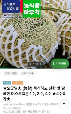 머스크멜론 4수