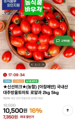 국내산 대추방울토마토 로얄과 5kg